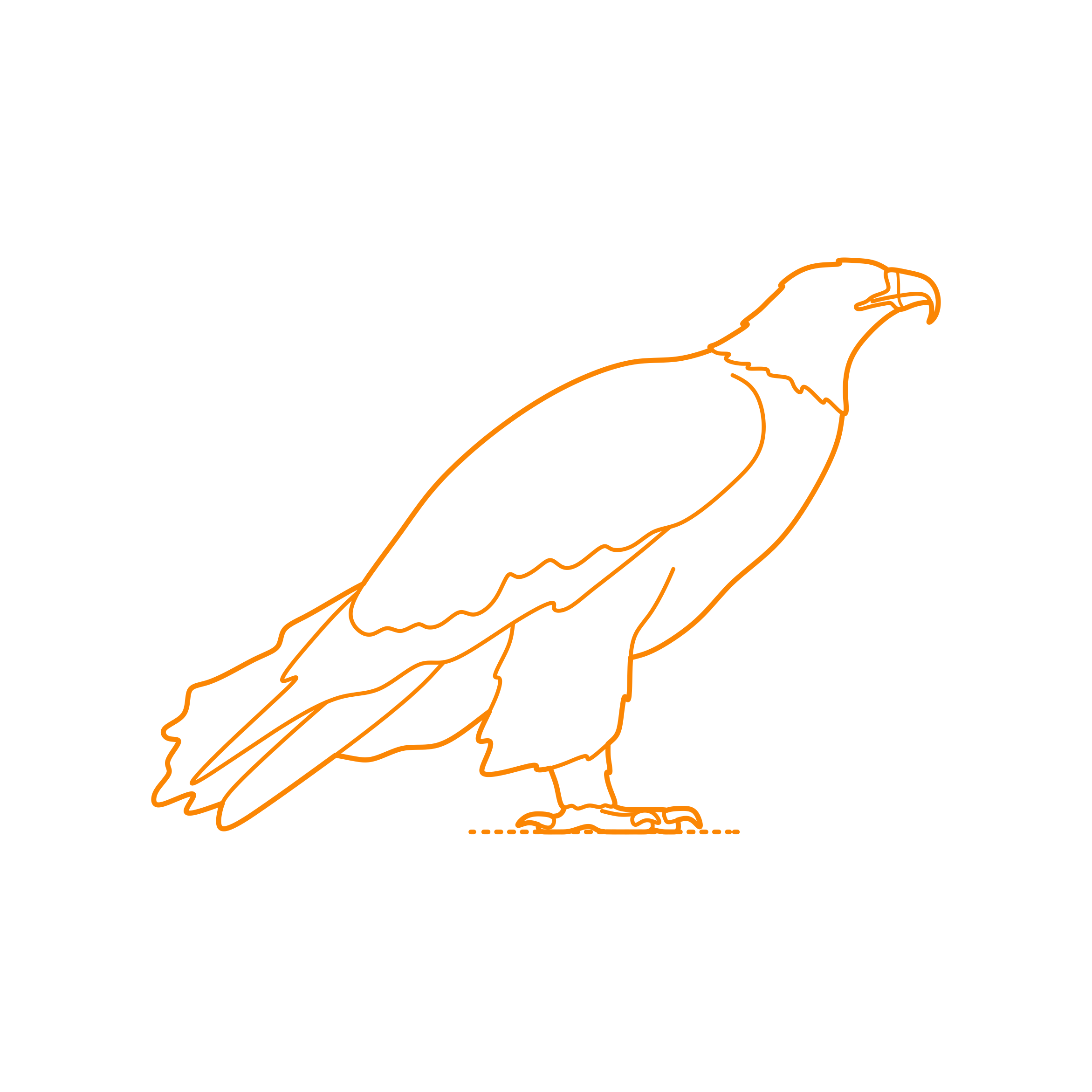 Animals Birds Of Prey Golden Eagle Size Comparison Line Tracing Svg Vector Free Vectors